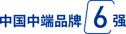 中国中端品牌6强